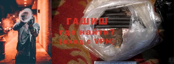 индика Ладушкин
