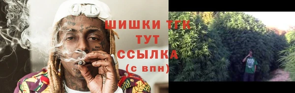 бошки Лабытнанги