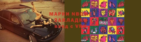 индика Ладушкин