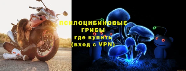 гидра Лагань