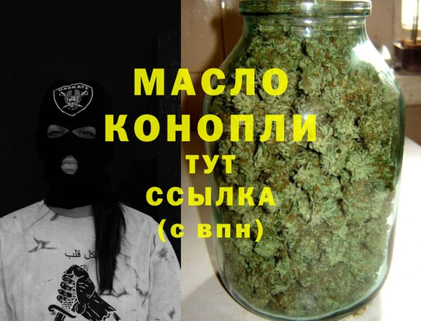 индика Ладушкин