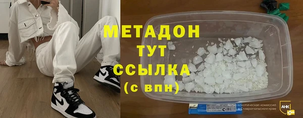 индика Ладушкин