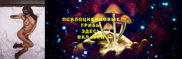 индика Ладушкин