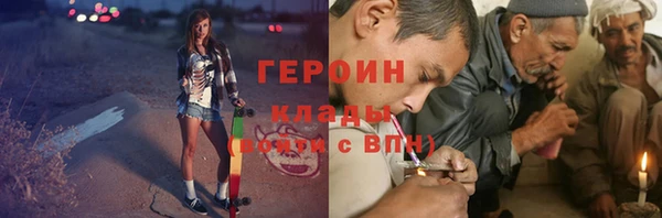 индика Ладушкин