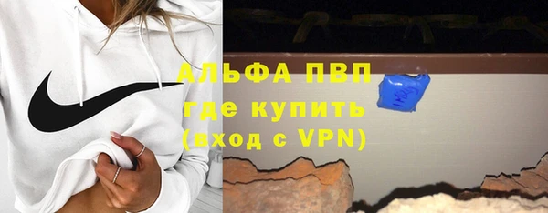 индика Ладушкин