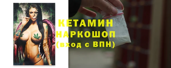 индика Ладушкин