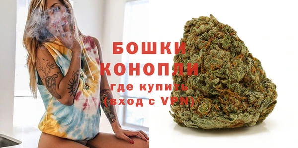 индика Ладушкин