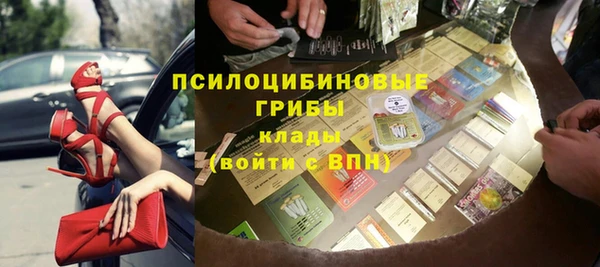 бошки Лабытнанги