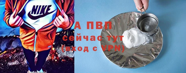 индика Ладушкин