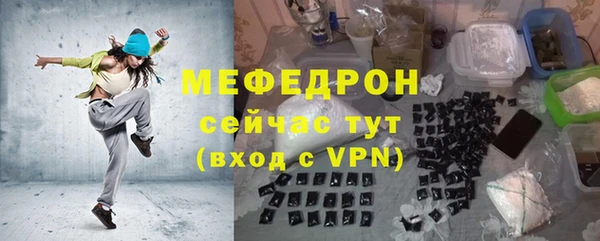 индика Ладушкин
