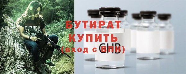 индика Ладушкин