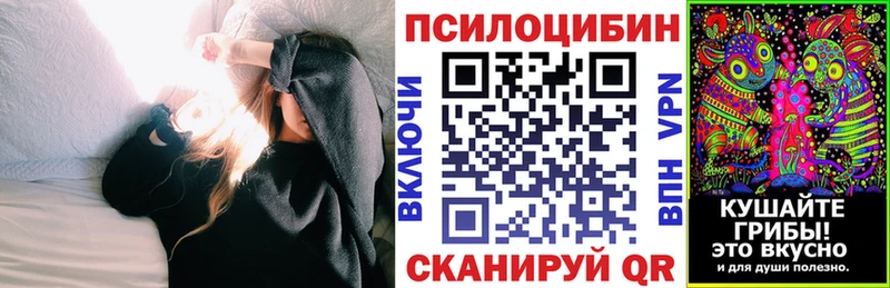 Галлюциногенные грибы GOLDEN TEACHER  Купить где  Сальск 